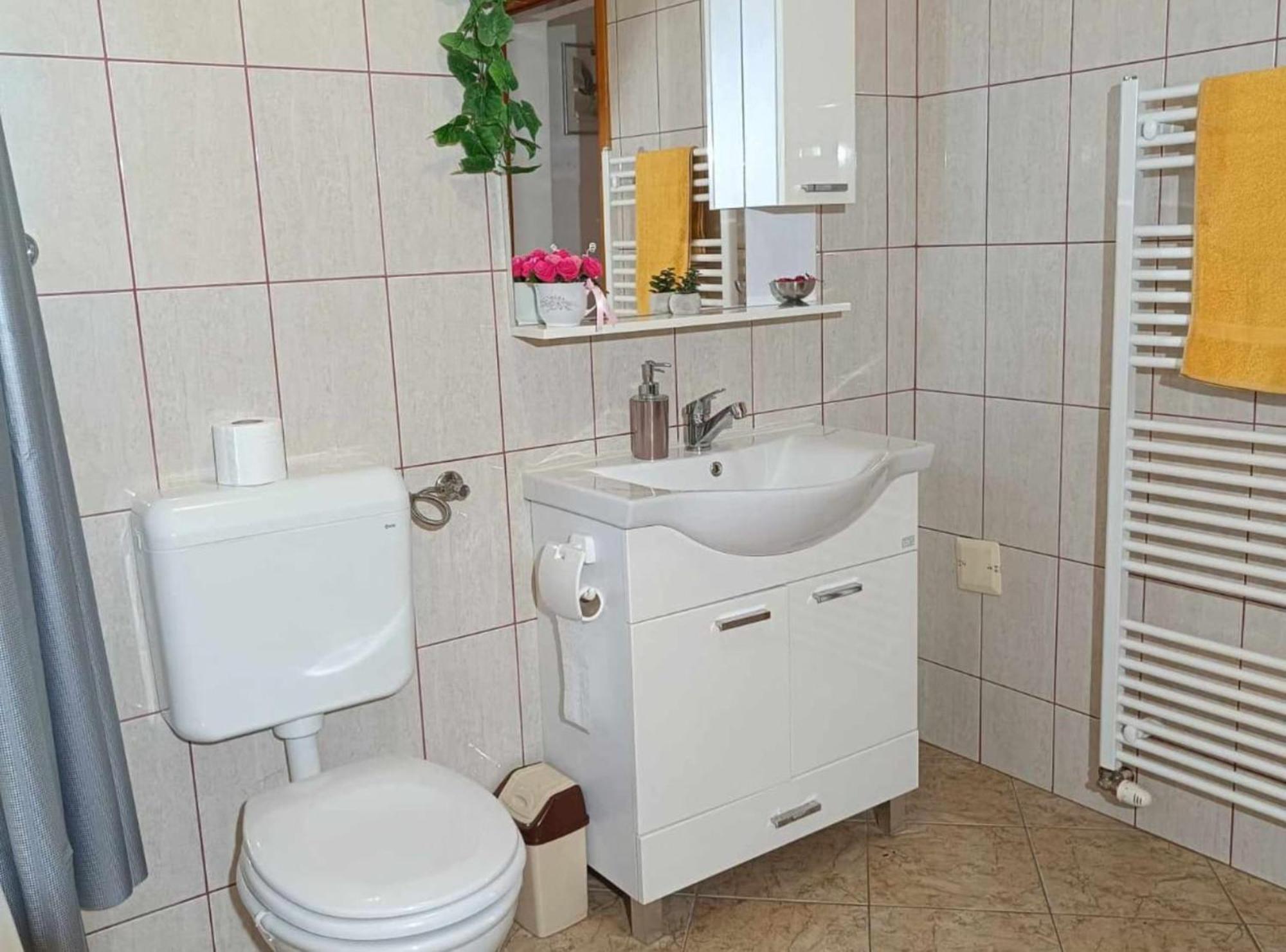 Apartmani Tea I Toni Gradiste Esterno foto